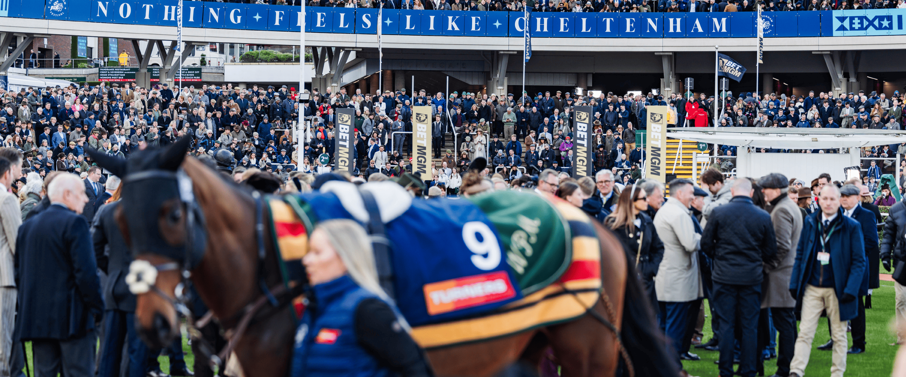 The stands at Cheltenham Festival The stands at Cheltenham Festival with a horse being walked around the racetrack