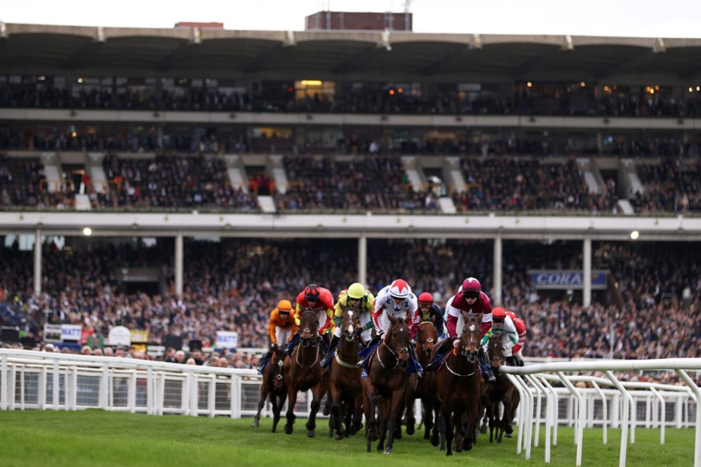flat horse racing