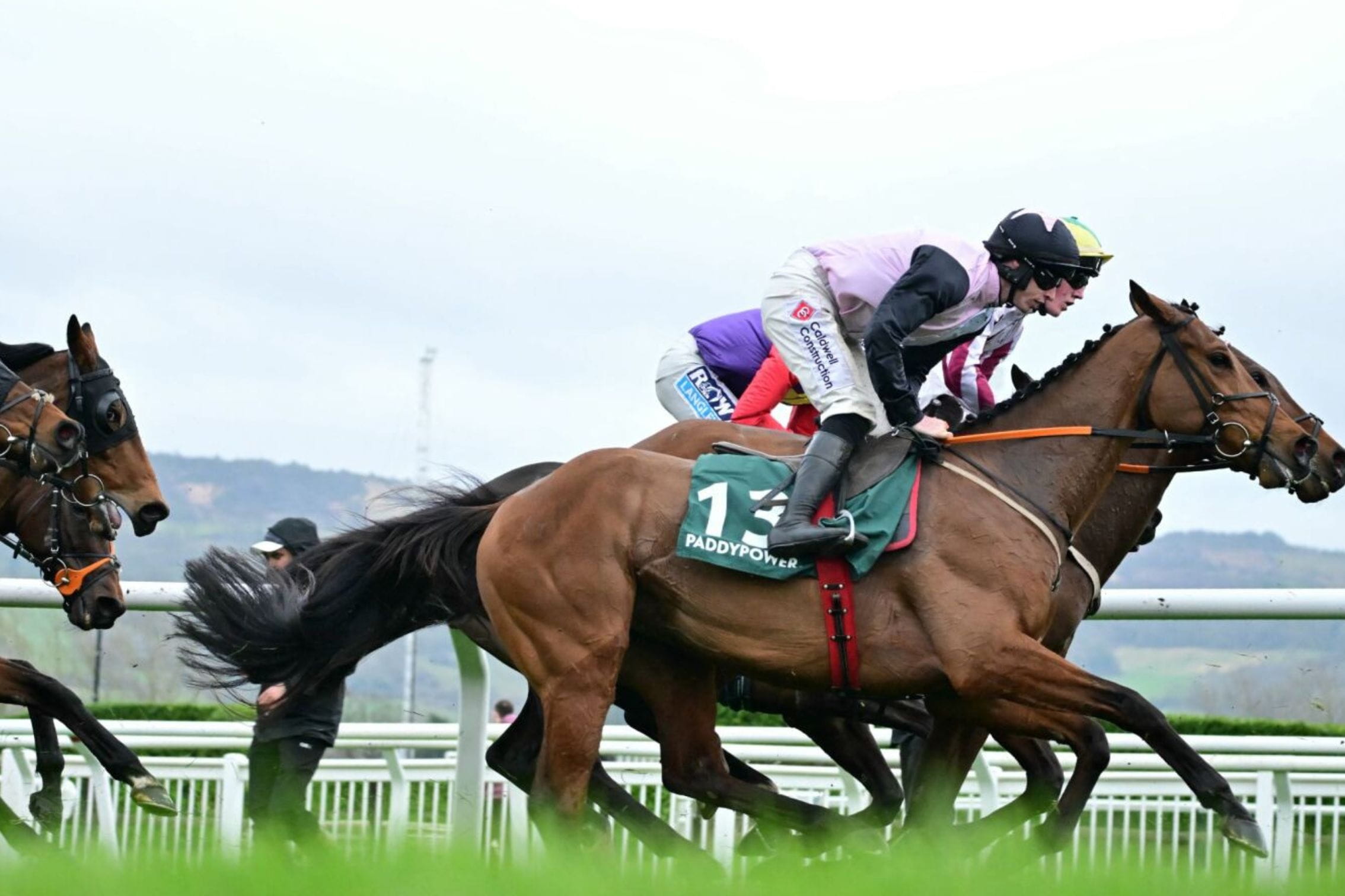 race horse at horse racing event, uk