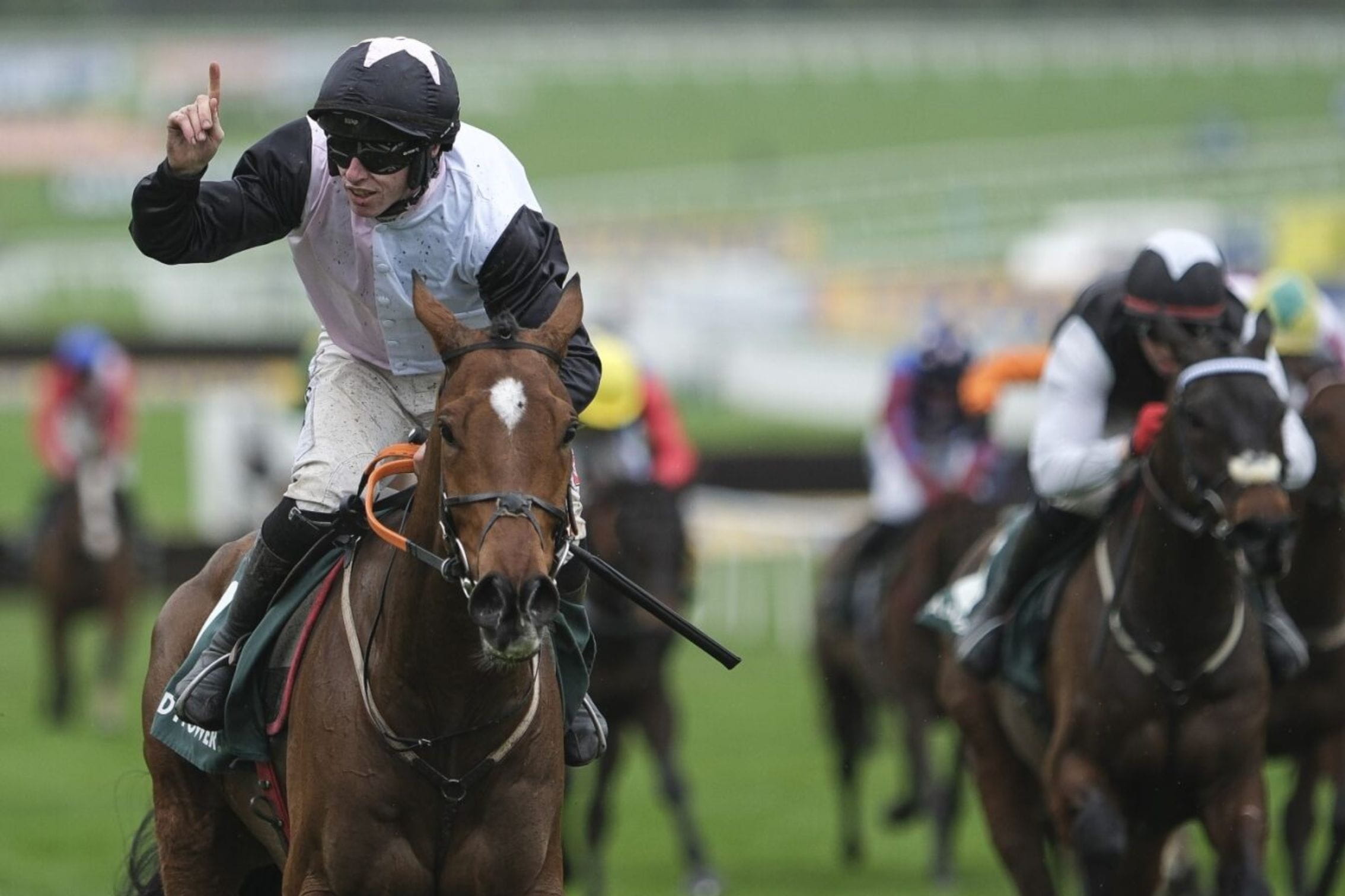 Horse and jockey winning horse race