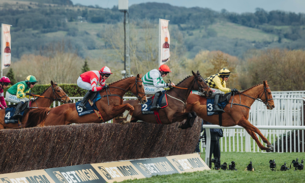 Cheltenham Horse Racing Event with Horses Jumping