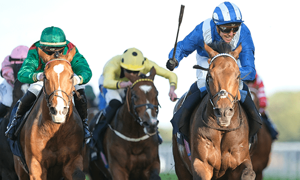 Ascot Racehorse Event