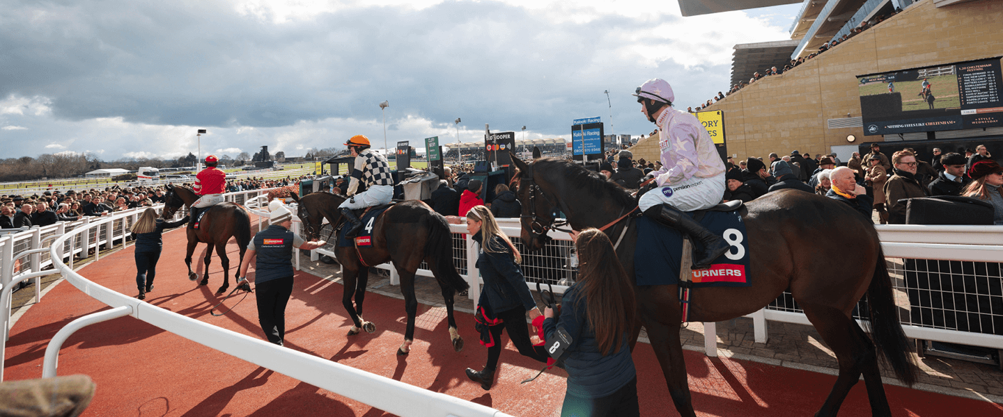 Jockeys getting ready to race at Cheltenham Festival Horse Racing jumping