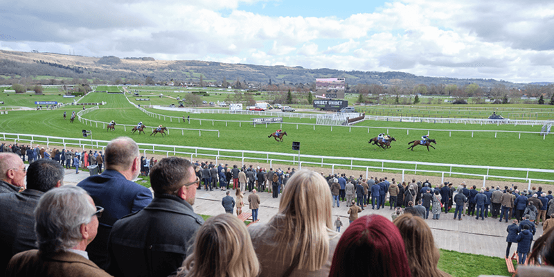 The best views of Cheltenham Racecourse in the Four Eighty VIP hospitality space