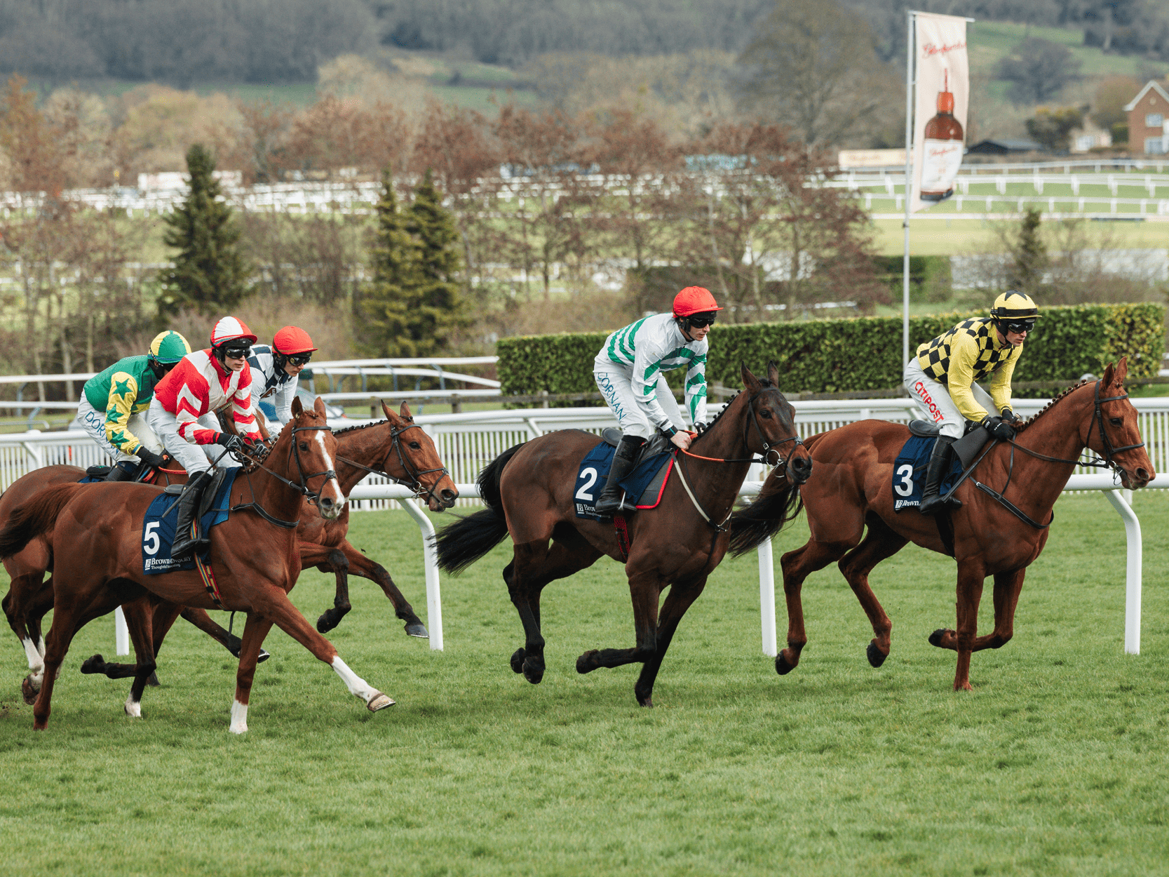Jockeys riding horses during a race at Cheltenham Festival
