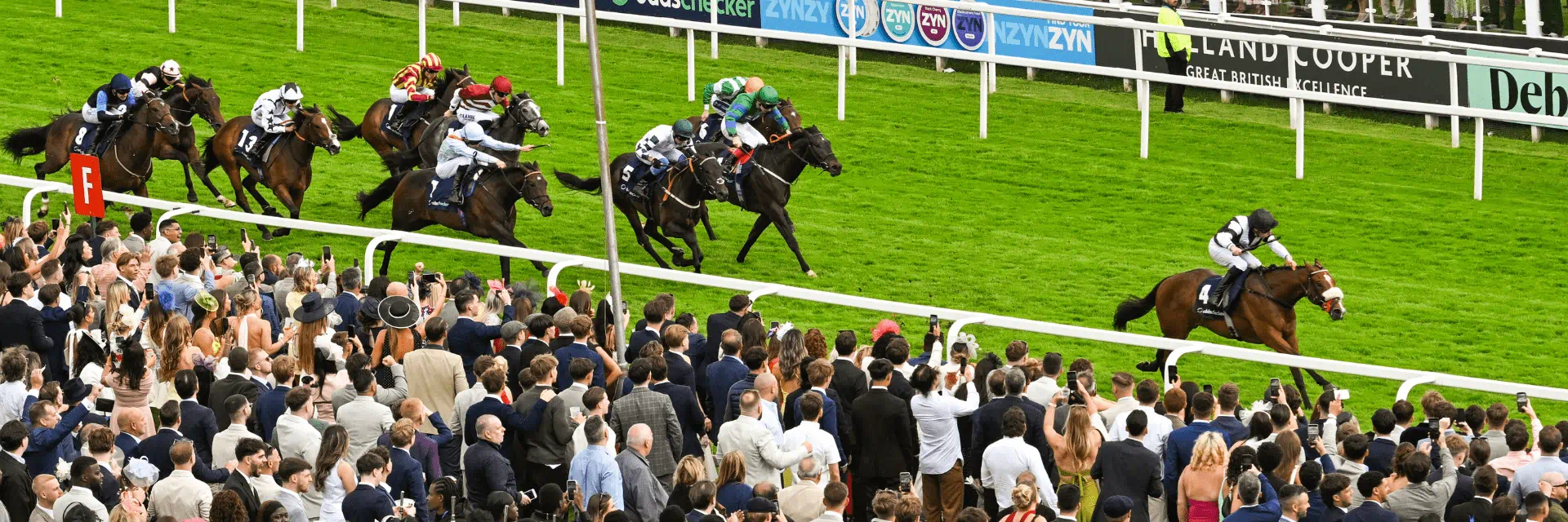 Fans cheering on horse racing in final stretch