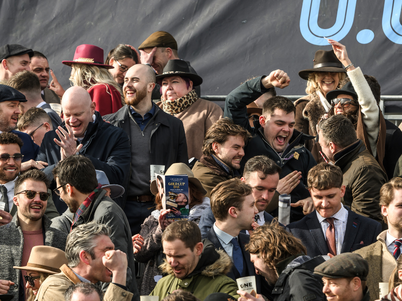 crowd cheering at cheltenham