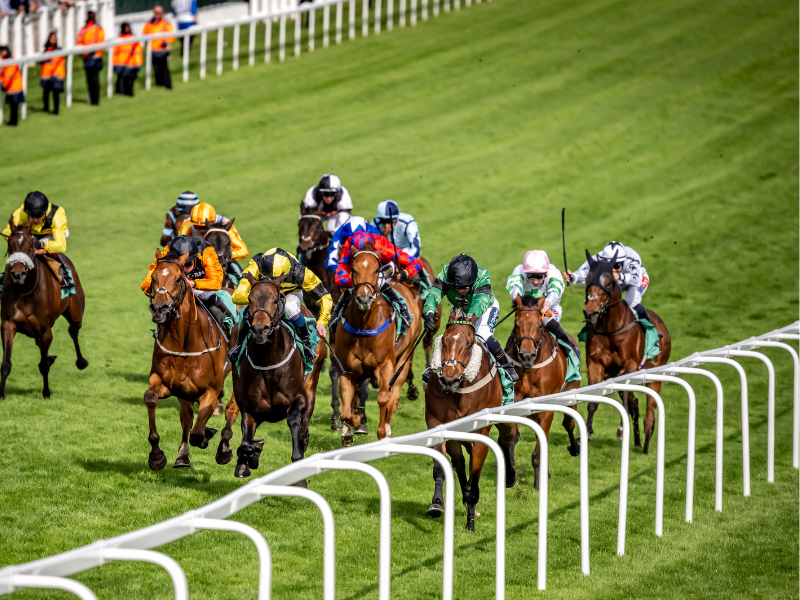 horsies racing at epsom derby