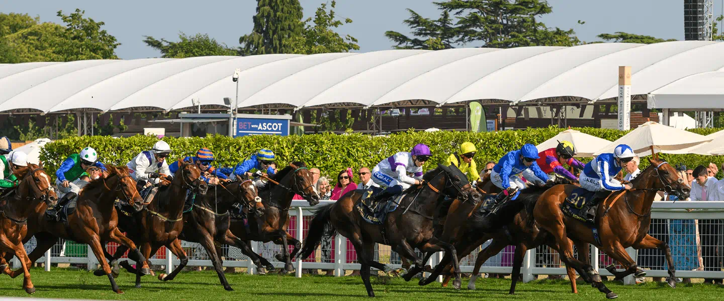Horse racing at Royal Ascot and the major british racedays of 2026