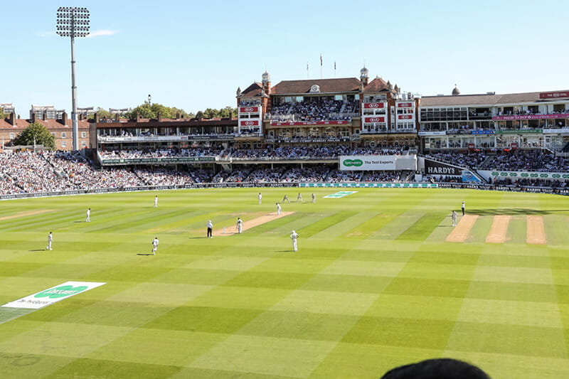 Cricket ground at The Kia Oval