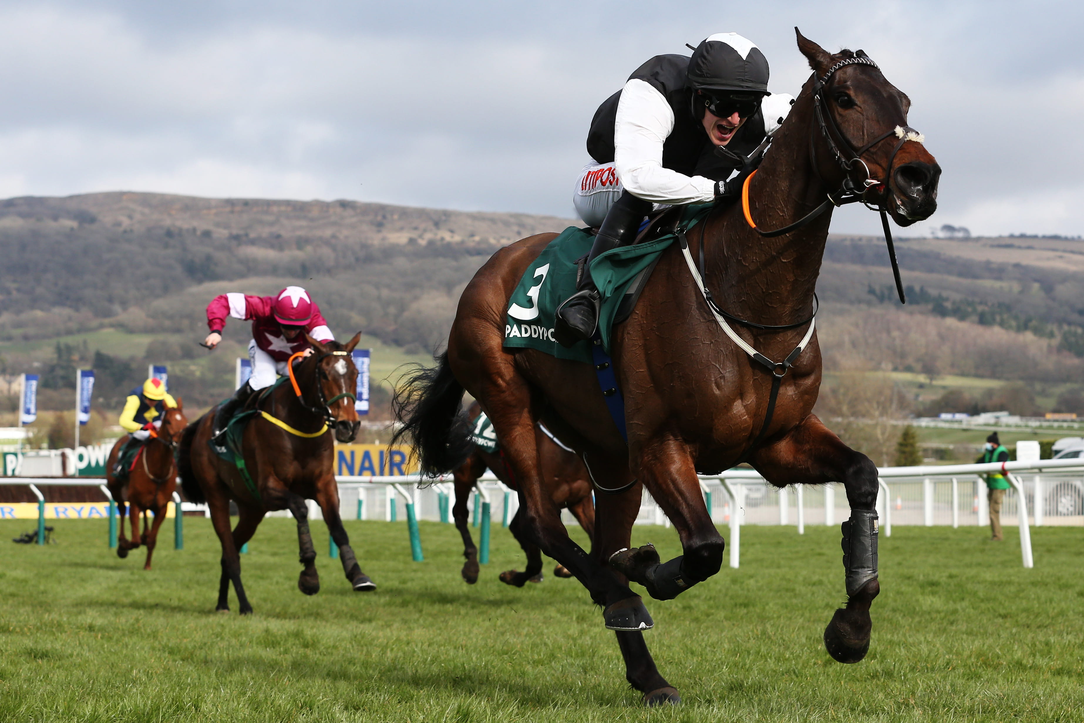 Cheltenham-flooringporter