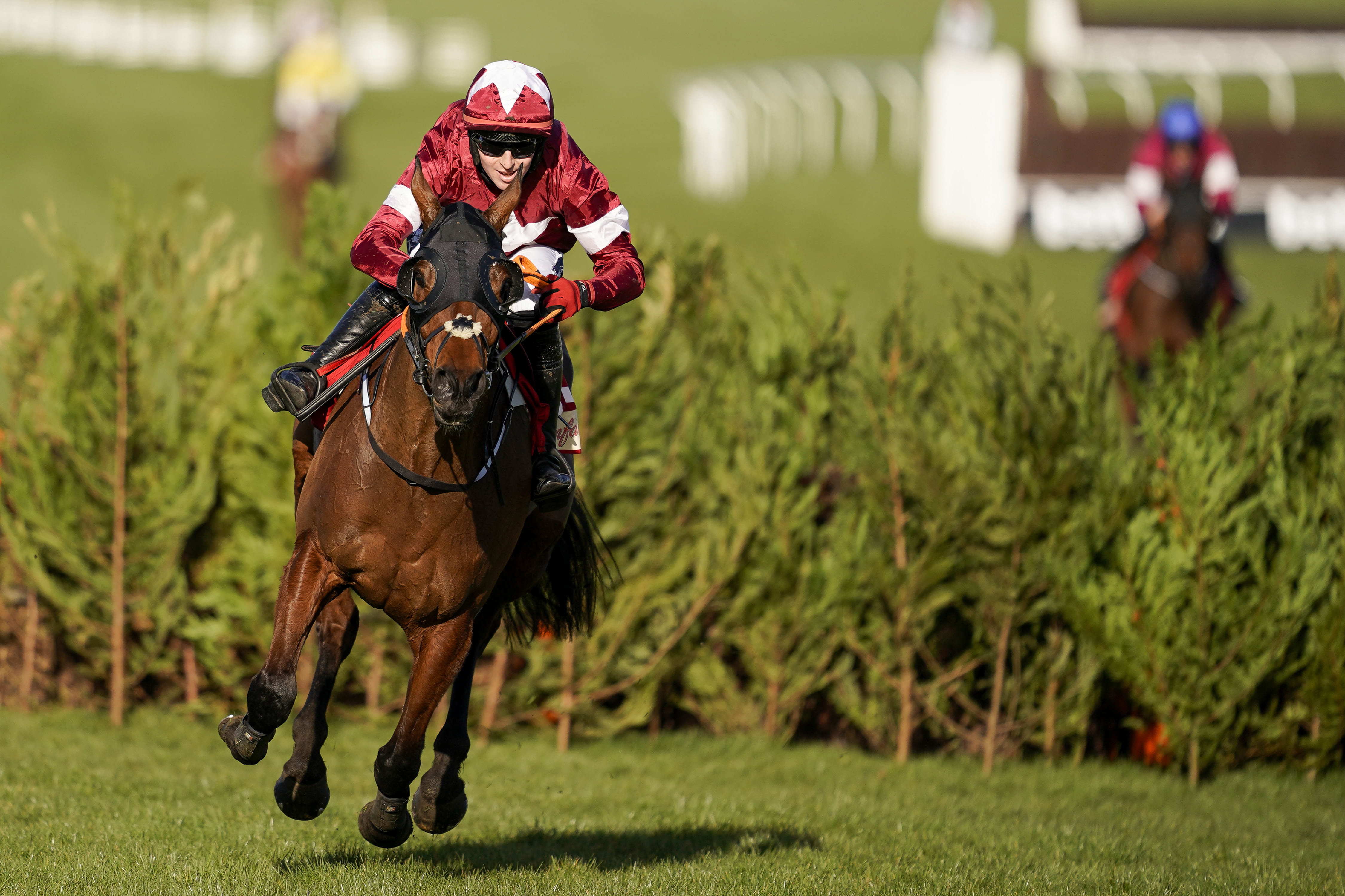 Cheltenham-tiger roll