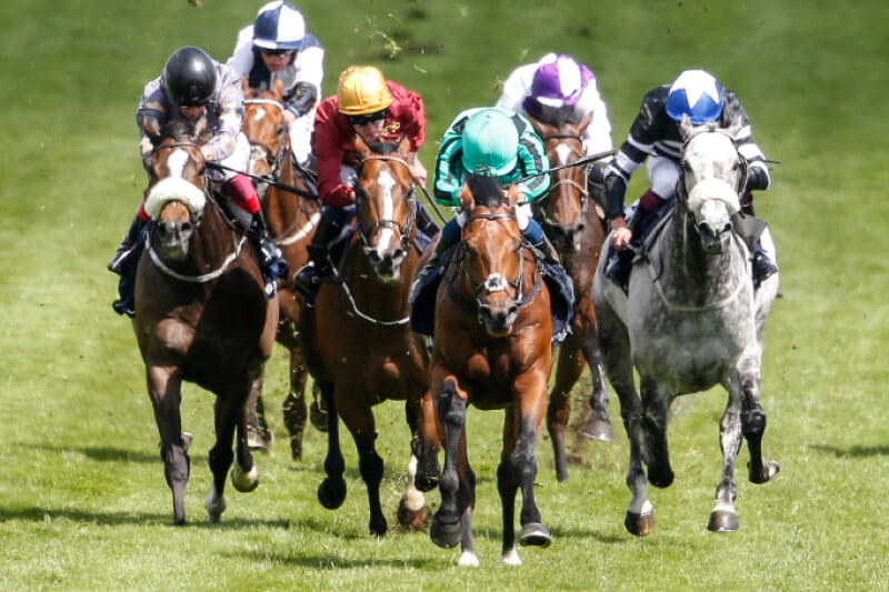 Horses and jockeys racing at a horse racing event 