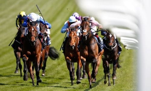Derby