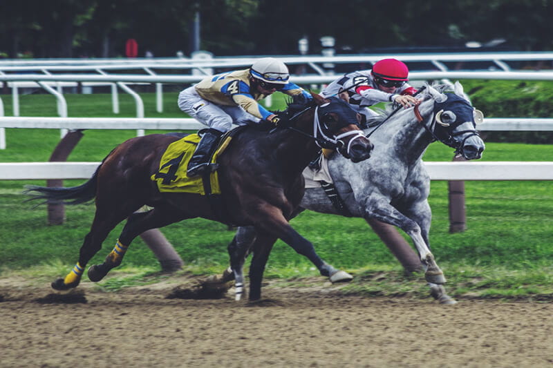 National Horse Racing Week 2021 2nd version