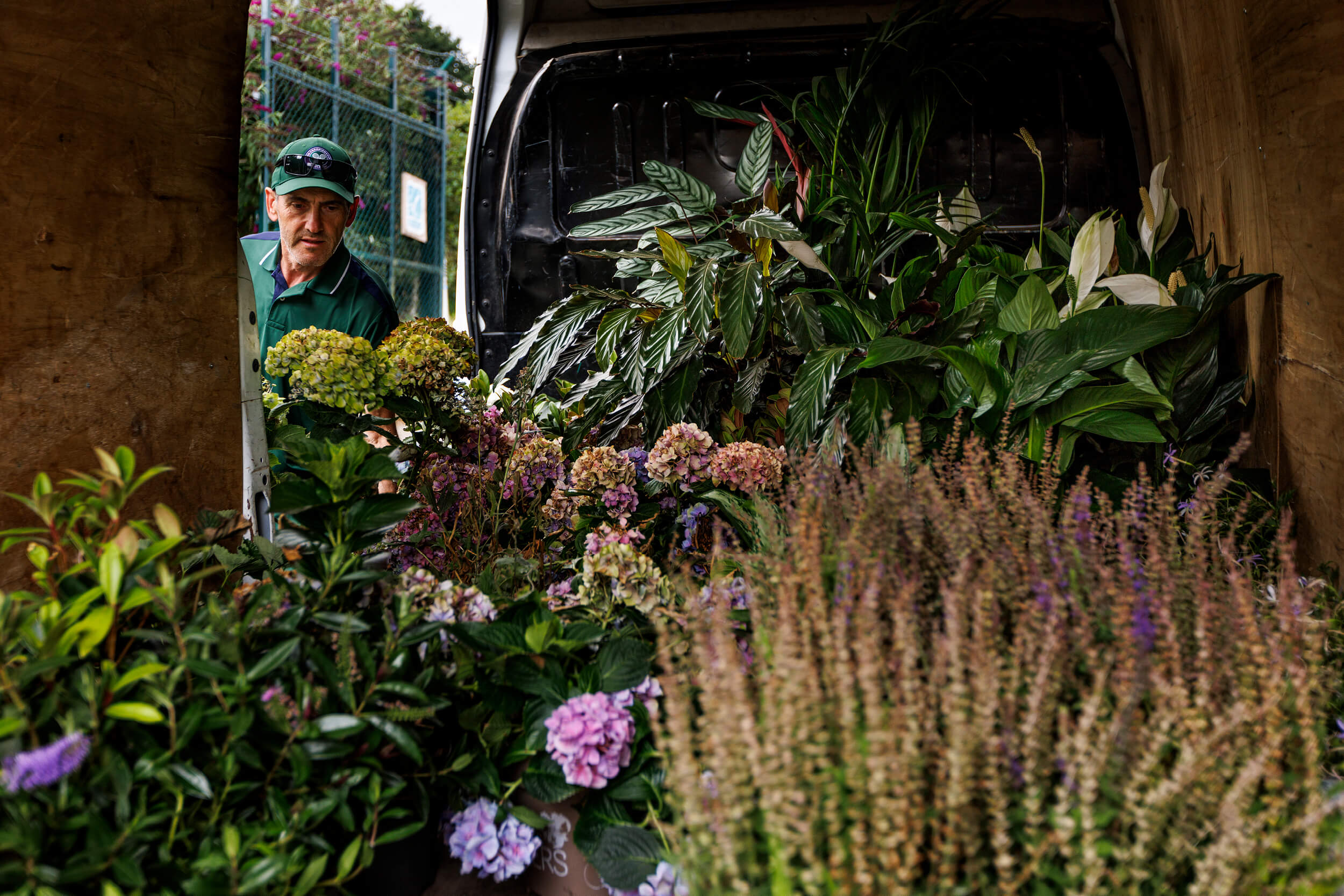 Flowers to be donated at Wimbledon 2022