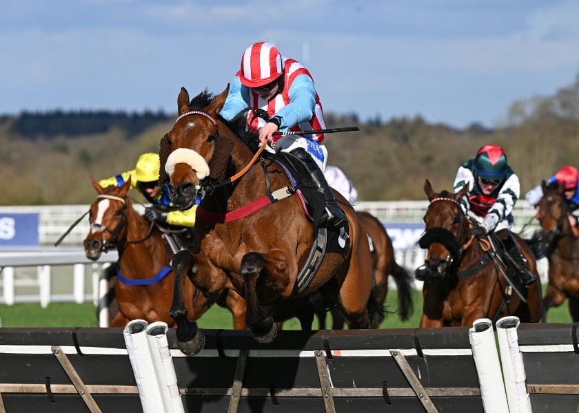 Ascot Jump