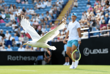 More than just a day at the Tennis