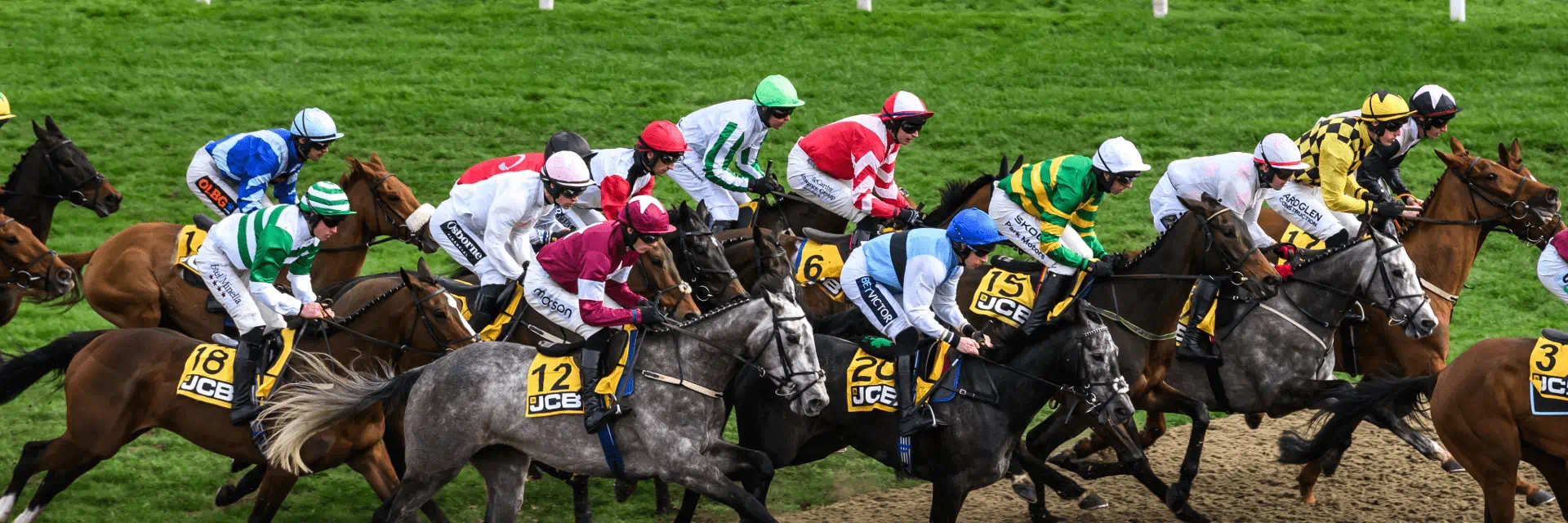 Horse Racing at Cheltenham