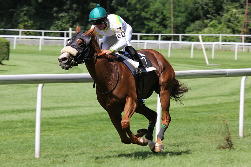 National Racehorse Week 2021