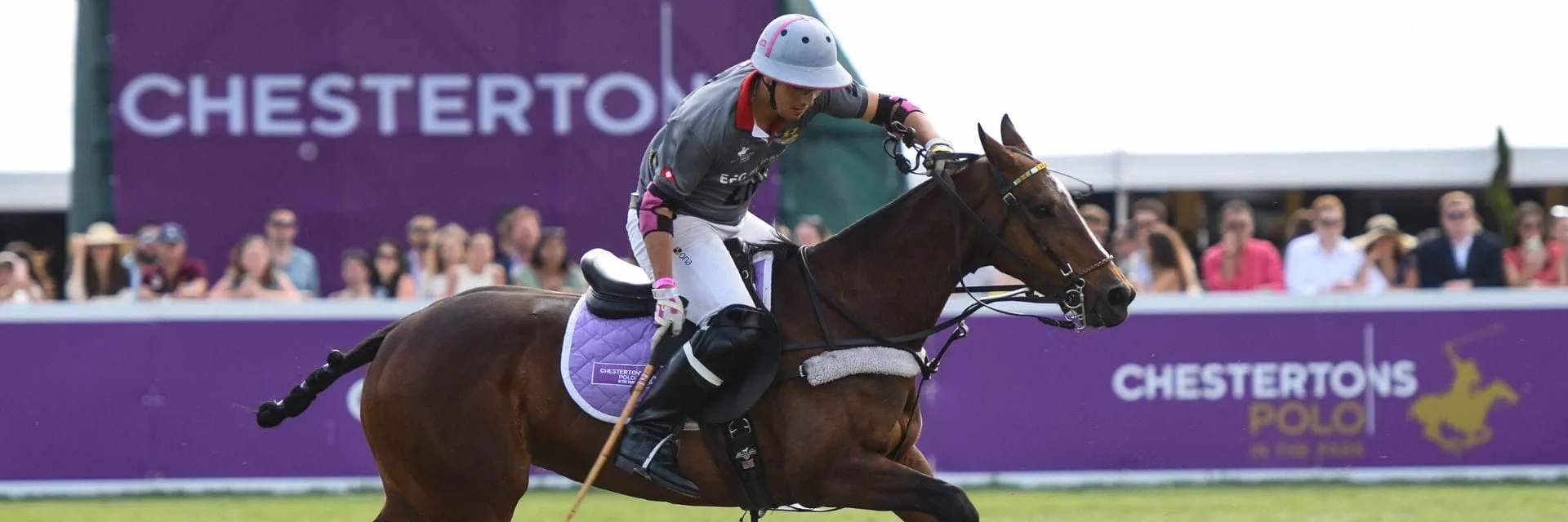 Polo in the Park
