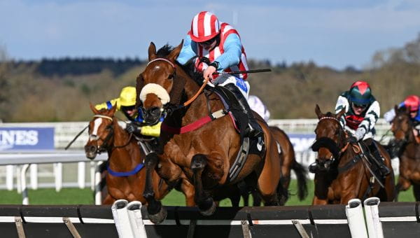 Ascot Jumping