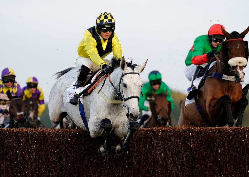 Ascot Jumping