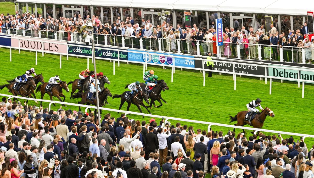 The Betfred Derby at Epsom Downs Racecourse
