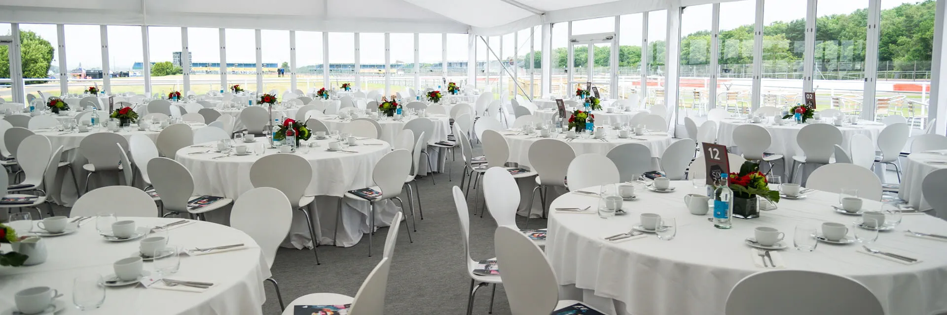 Silverstone Six