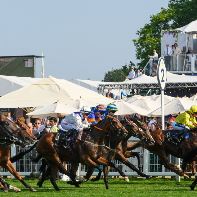 Horse racing